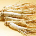 cibo per radici di tè al ginseng